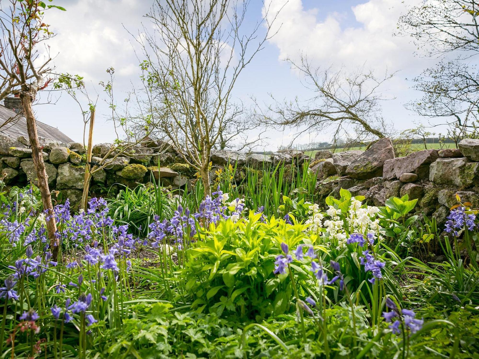 Teal Villa Llangennith Luaran gambar
